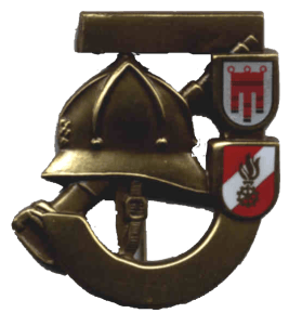 jugendabzeichen_gold.png