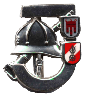 jugendabzeichen_silber.png